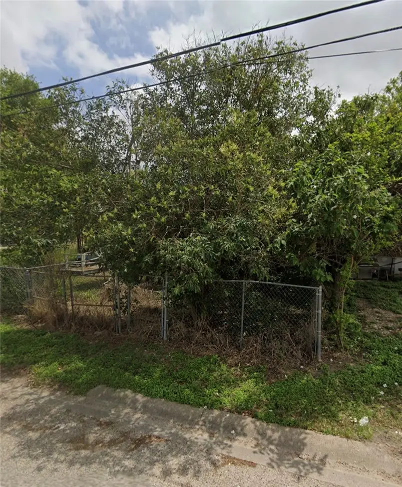 606 Nebraska, Robstown, TX 78380 - #2