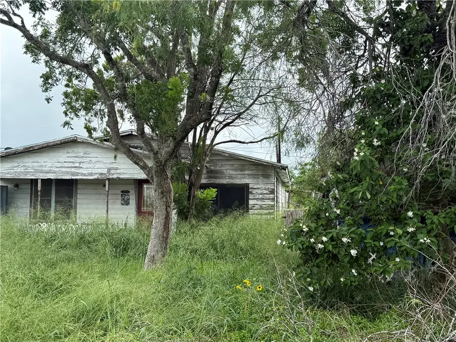 306 W 3rd Street, Bishop, TX 78343 - #2