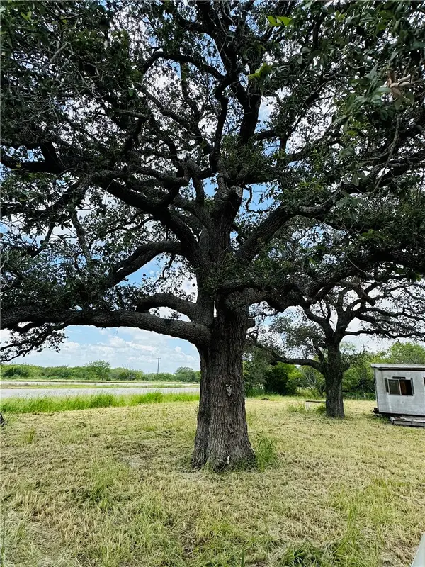 0 County Road 623 & 624, Skidmore, TX 78389