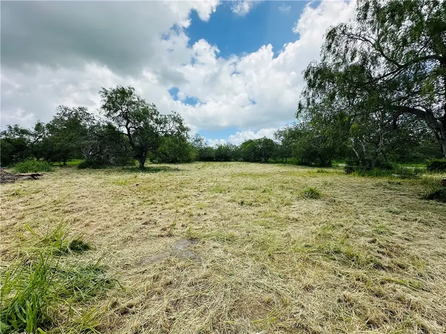 0 County Road 623 & 624, Skidmore, TX 78389 - #3