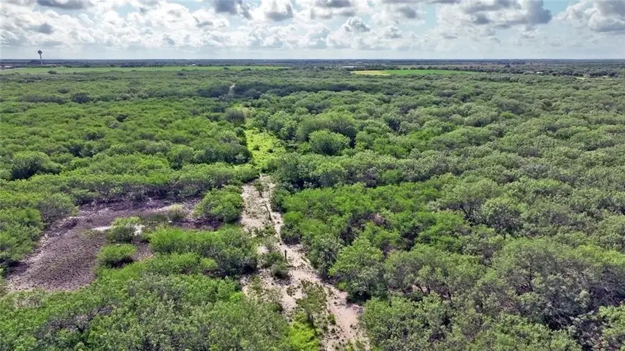 Tract H Cr 2215, Kingsville, TX 78363 - #3