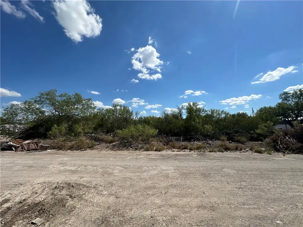 0 Humble Street, Freer, TX 78357 - #1