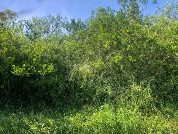00 Cr 619, Skidmore, TX 78389