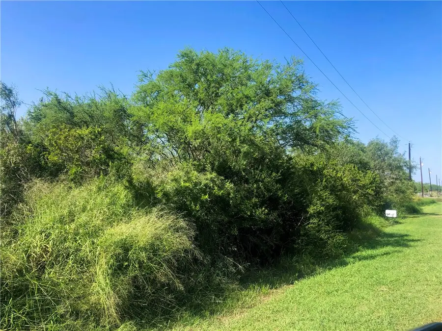 00 Cr 619, Skidmore, TX 78389 - #2