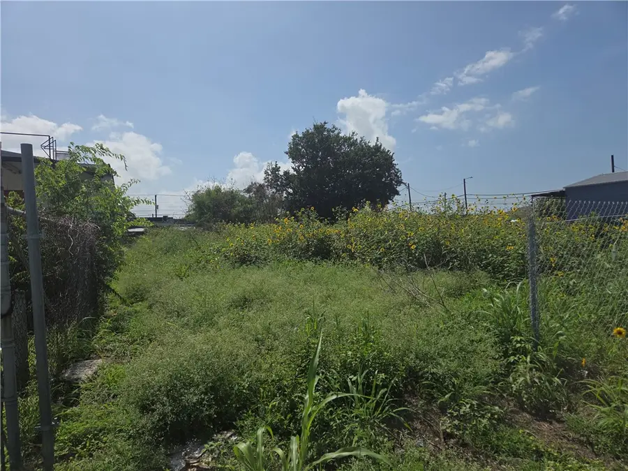 319 Waco Street, Corpus Christi, TX 78401 - #3