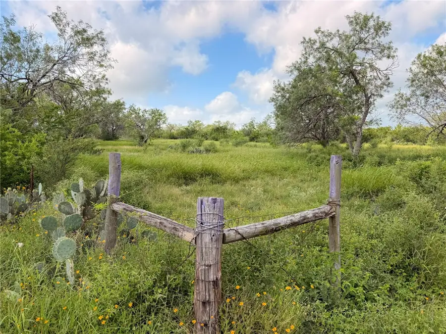 140 Choke Canyon, Three Rivers, TX 78071 - #2