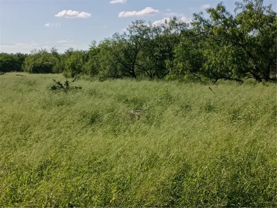 364 Deer Meadows Drive, Alice, TX 78332 - #2