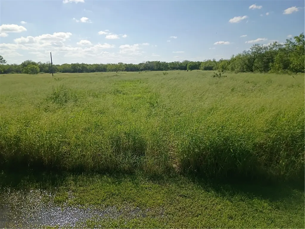 356 Deer Meadows Drive, Alice, TX 78332 - #1