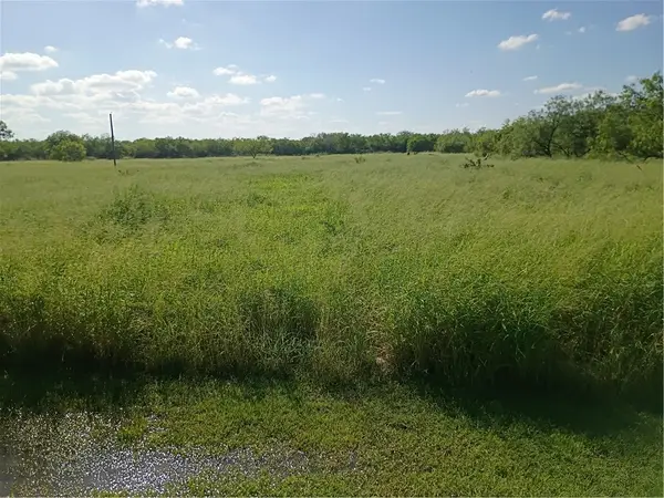 356 Deer Meadows Drive, Alice, TX 78332