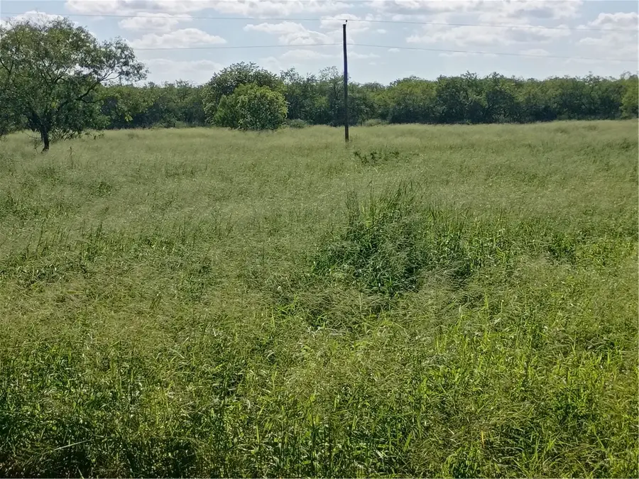 356 Deer Meadows Drive, Alice, TX 78332 - #2