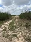 0 Blackbrush Spur Road, George West, TX 78022