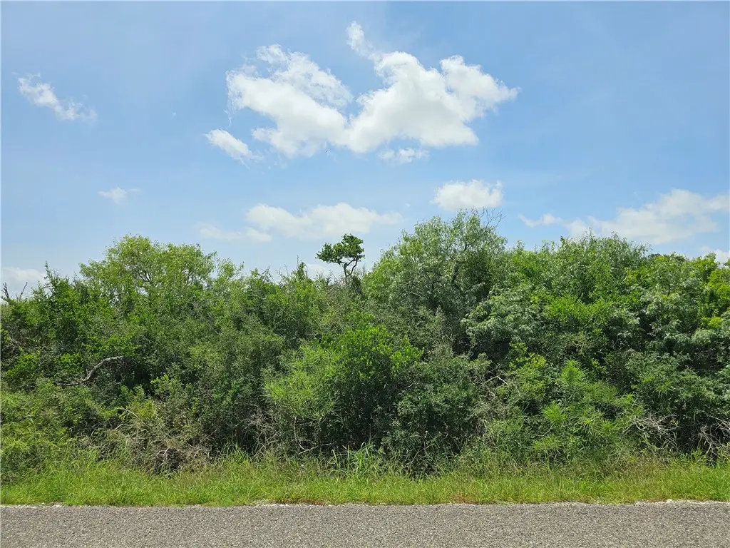 1110 Second Street, Bayside, TX 78340 - #1