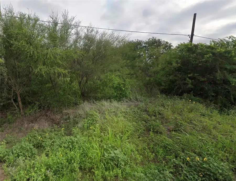 5354 County Road 40, Robstown, TX 78380 - #2