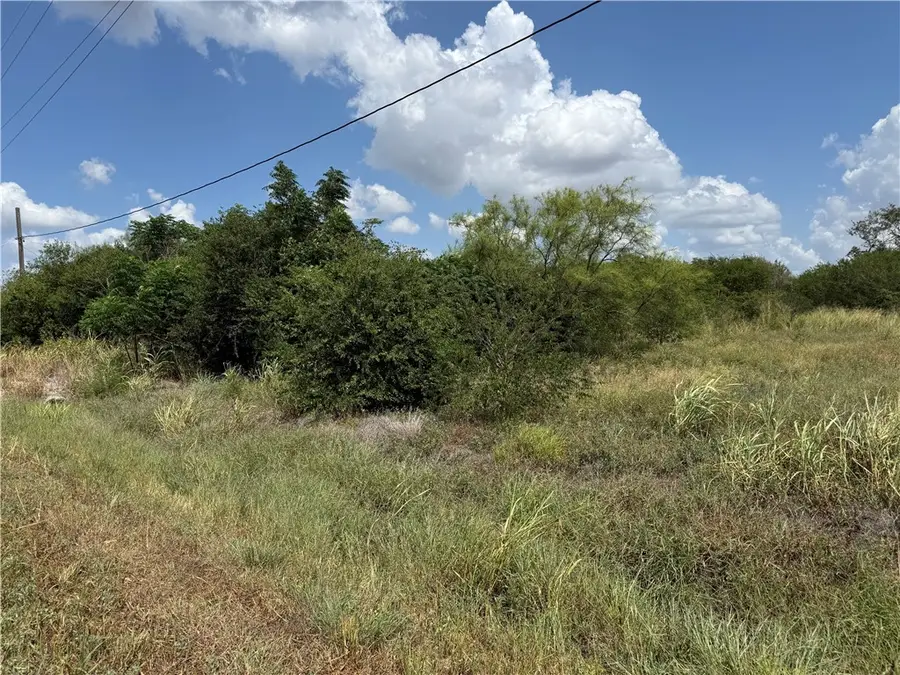 5354 County Road 40, Robstown, TX 78380 - #3