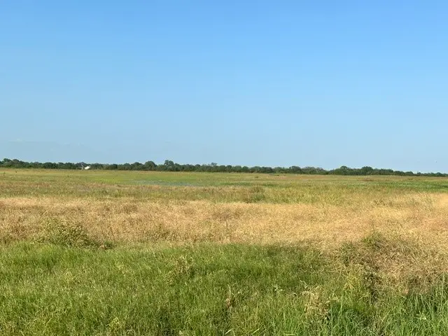 0 E Cr 2300, Riviera, TX 78379 - #3