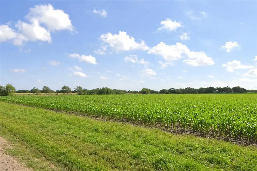 0 Thompson, Harlingen San Benito, TX 78593 - #2
