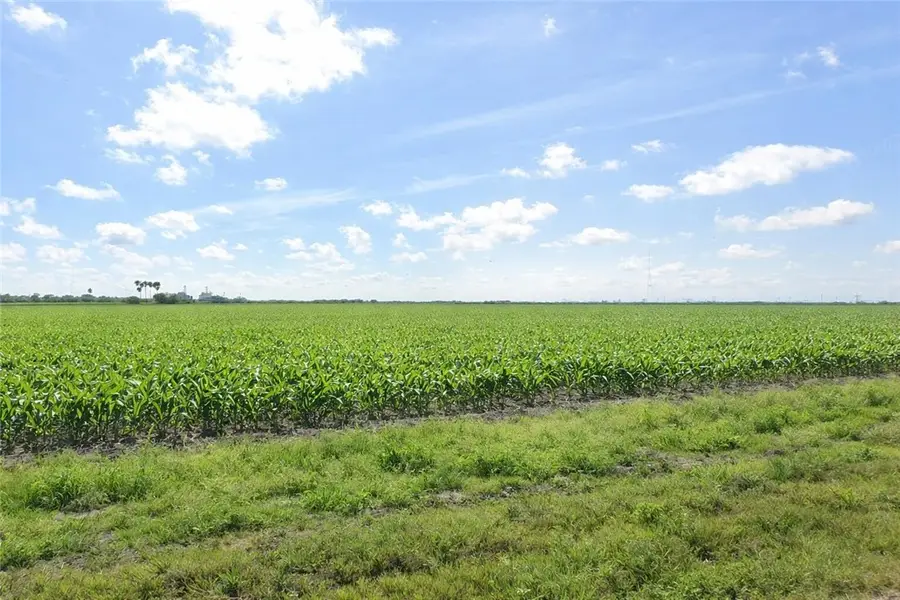0 Thompson, Harlingen San Benito, TX 78593 - #3