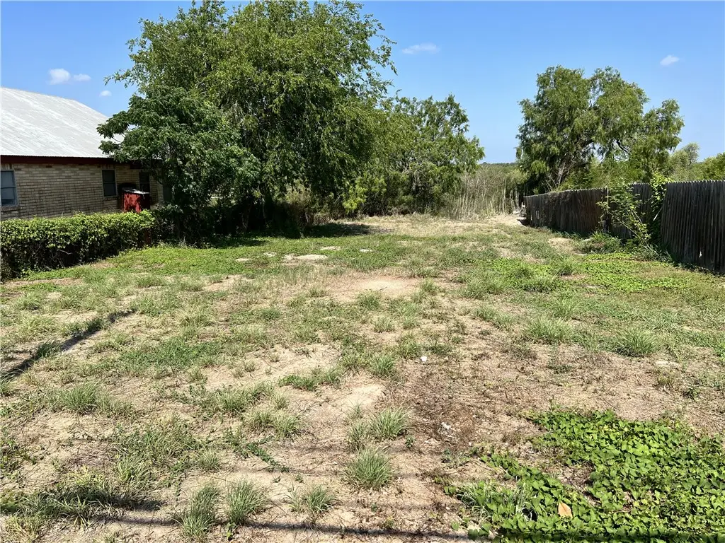 1213 N Harborth, Three Rivers, TX 78071 - #1