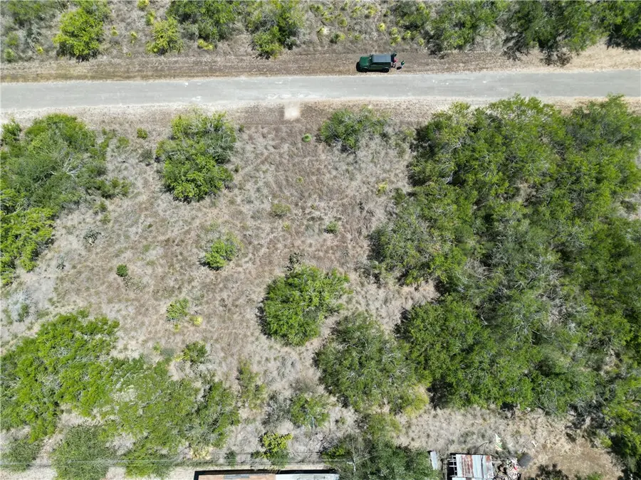 143 Tomahawk Drive, Sandia, TX 78383 - #2