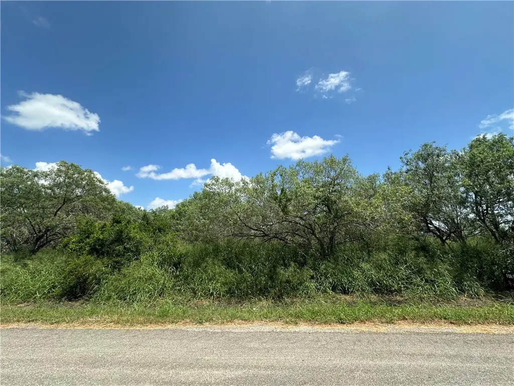 00 County Road 620, Skidmore, TX 78389 - #1