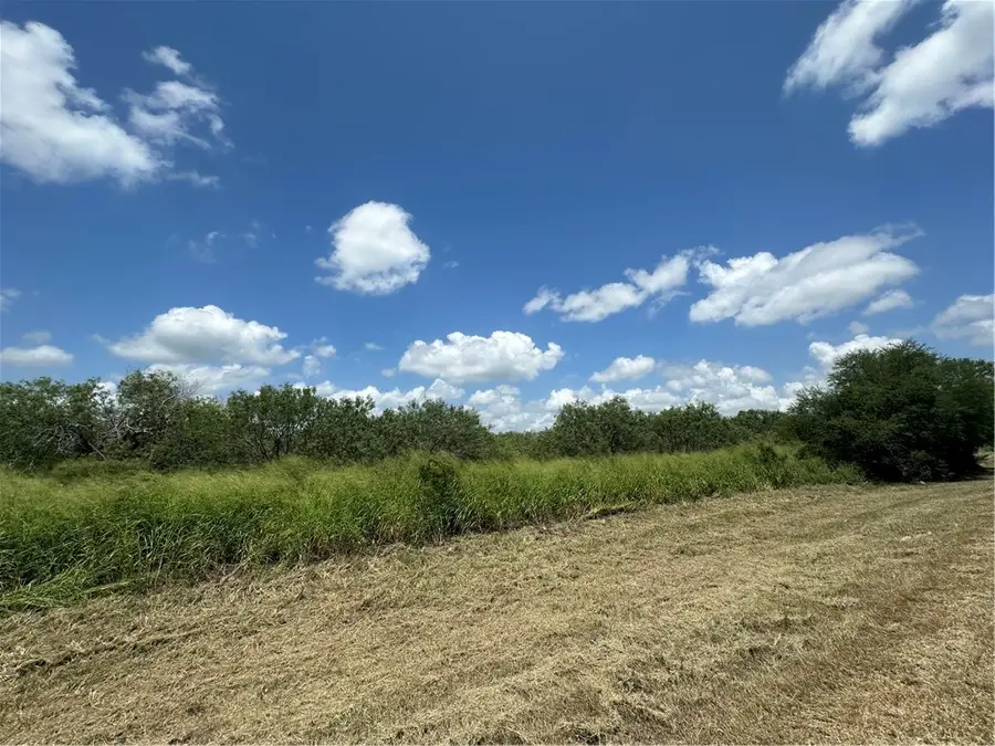 00 County Road 620, Skidmore, TX 78389 - #3