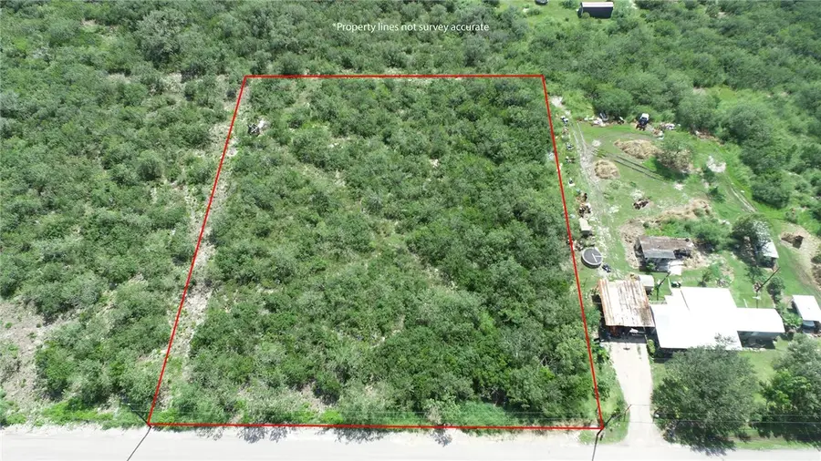 Lot 18-C County Road 608, Skidmore, TX 78389 - #2