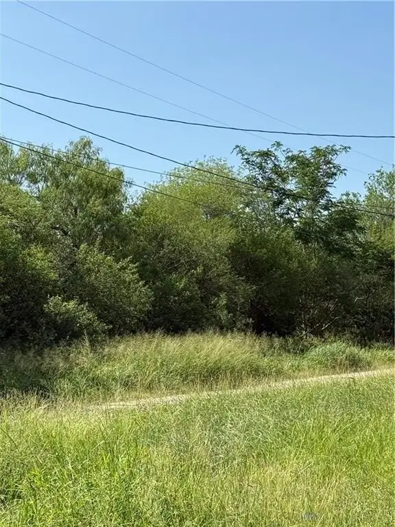 Address Withheld By Seller, Alice, TX 78342