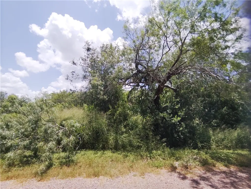 TBD - Lot 2 Thunderbird Trail, Sandia, TX 78383 - #1