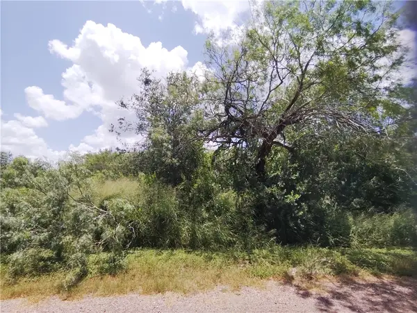 TBD - Lot 2 Thunderbird Trail, Sandia, TX 78383