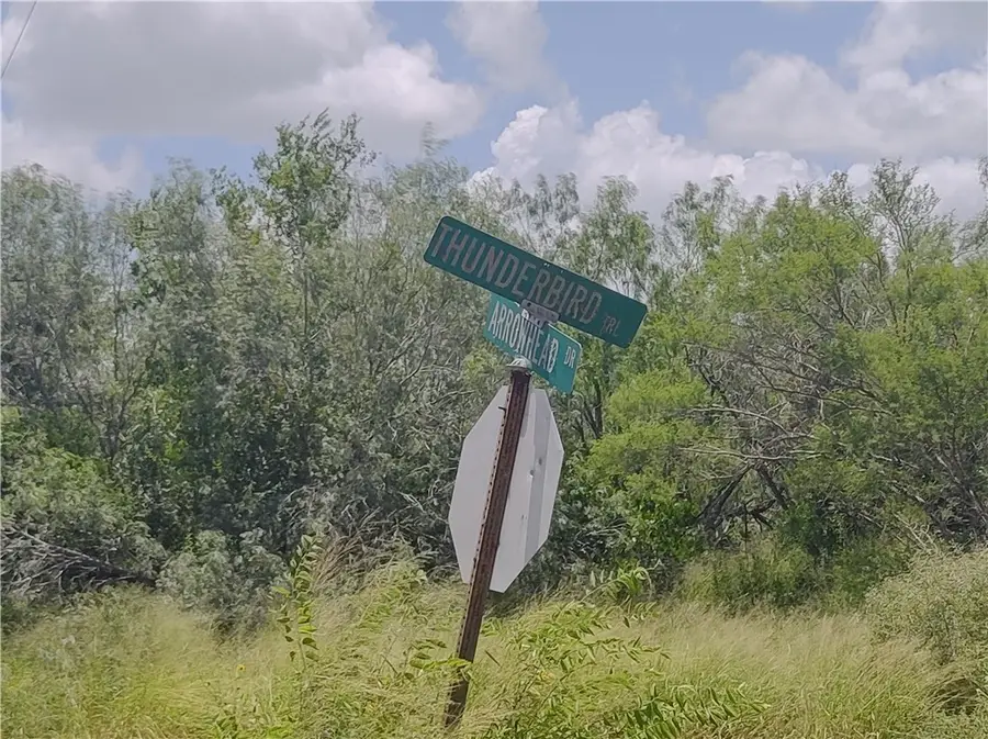 TBD - Lot 2 Thunderbird Trail, Sandia, TX 78383 - #2