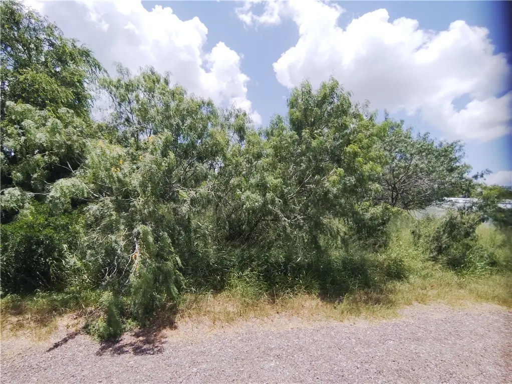 TBD - Lot 3 Thunderbird Trail, Sandia, TX 78383 - #1