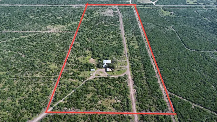 TBD Honey Mesquite, Freer, TX 78357 - #2