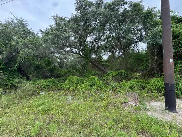 2111 Mooney Lane, Ingleside, TX 78362 - #1