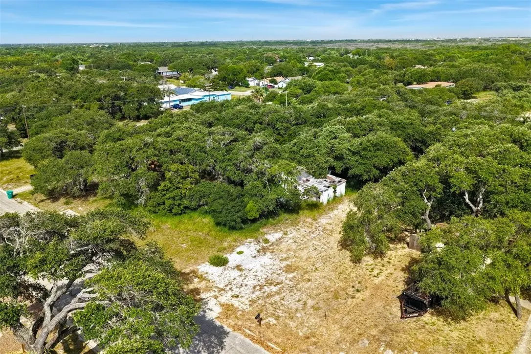 1036 N Houston Street, Aransas Pass, TX 78336 - #1