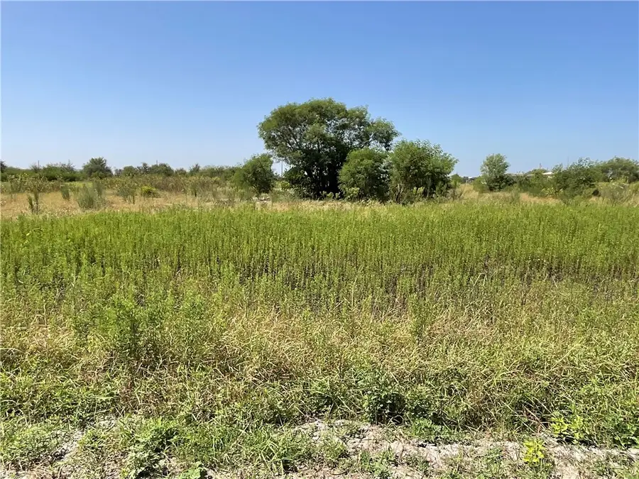 513 Jennifer Loop, Orange Grove, TX 78372 - #3