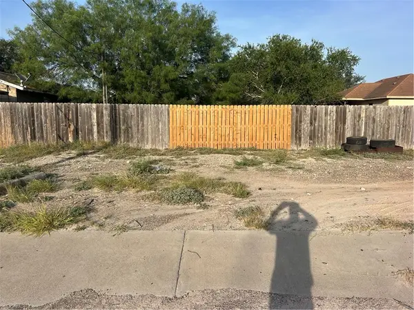0 S. Norton Highway, Freer, TX 78357