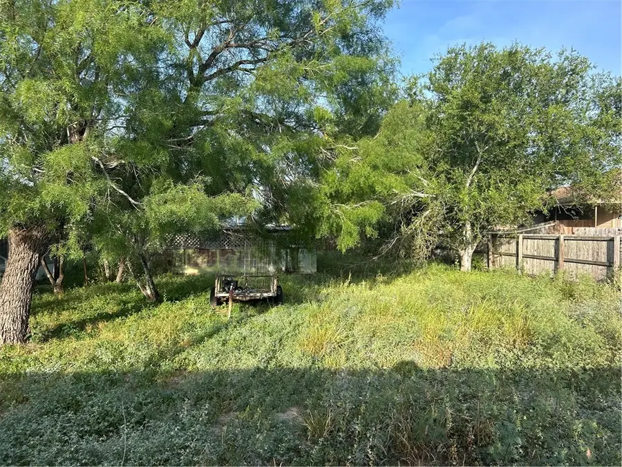 0 S. Norton Highway, Freer, TX 78357 - #2