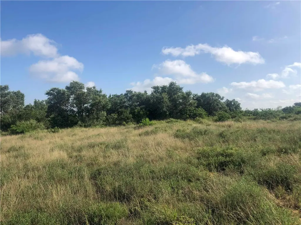 4375 Fm 799, Beeville, TX 78102 - #1