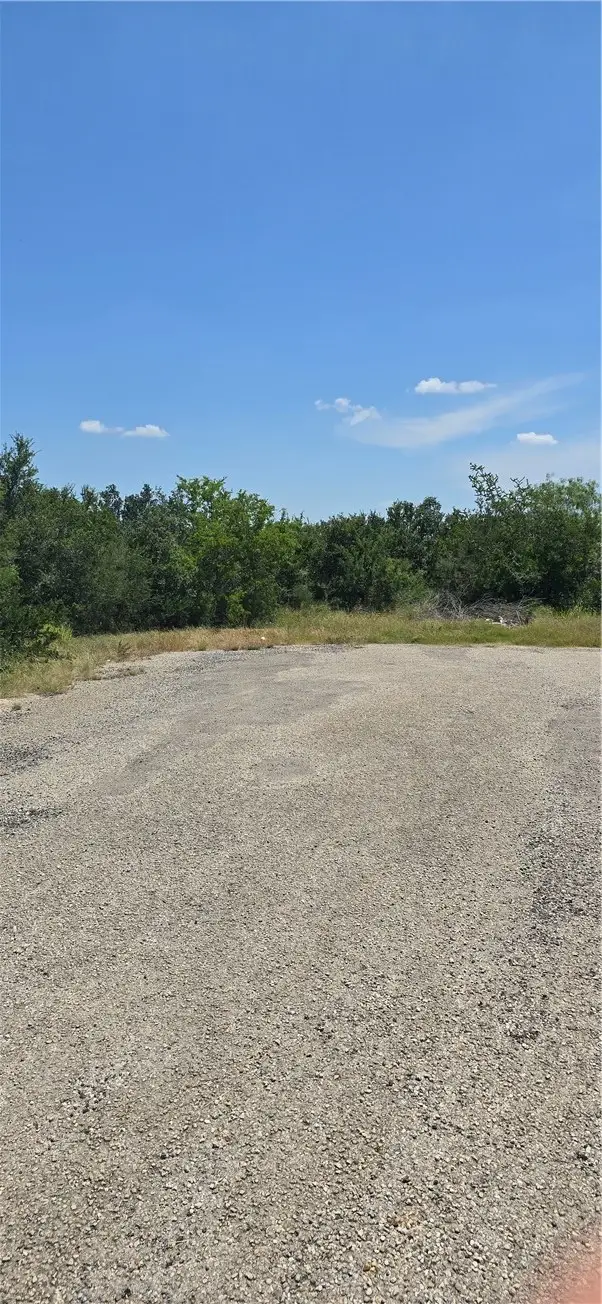 3088 County Road 3088, Orange Grove, TX 78372 - #1