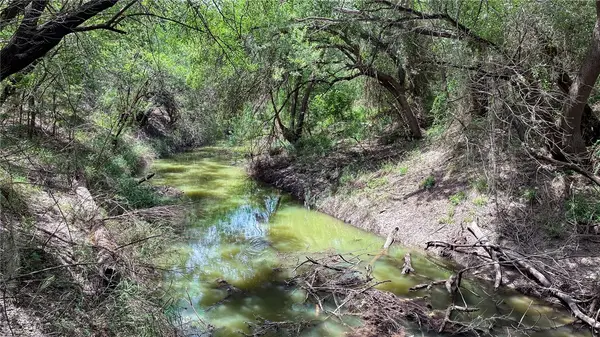 109 Choke Canyon Estates, Three Rivers, TX 78071