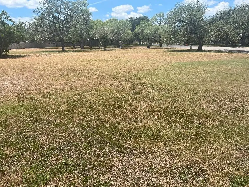 n/a Houston, George West, TX 78022 - #1