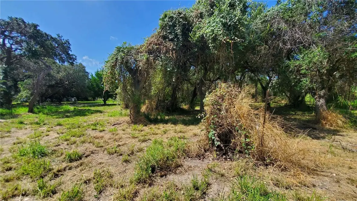 0000 Mooney Lane, Ingleside, TX 78362 - #1