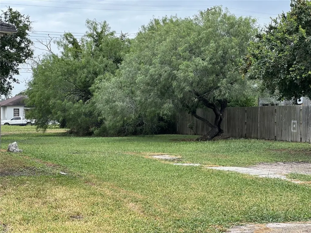 509 E Richard Avenue, Kingsville, TX 78363 - #1