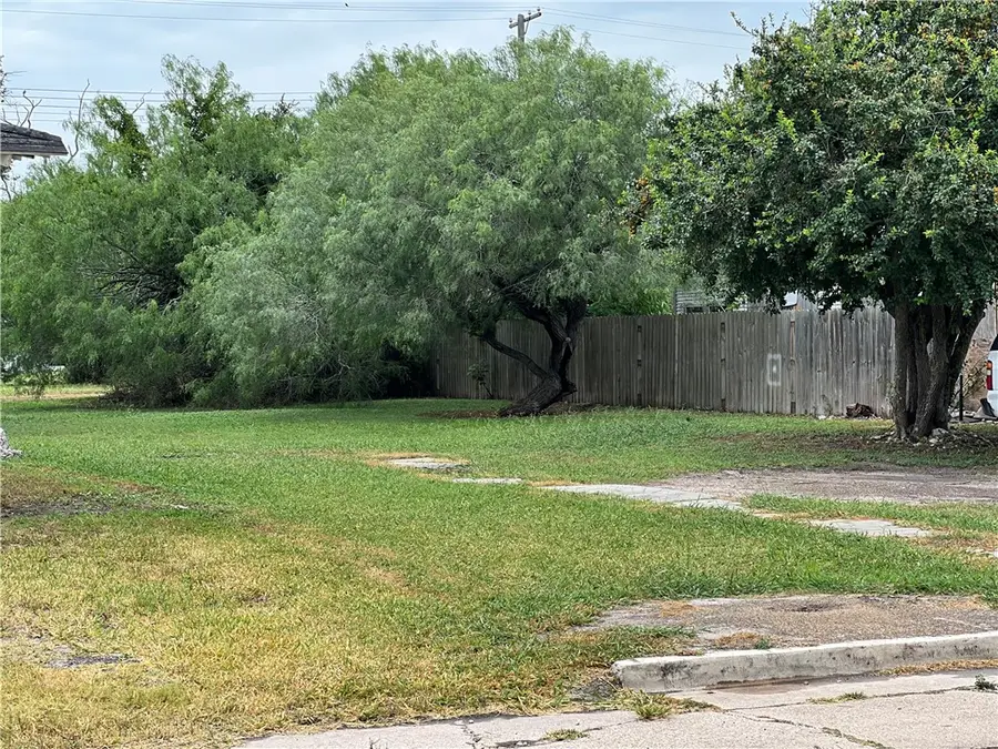 509 E Richard Avenue, Kingsville, TX 78363 - #3