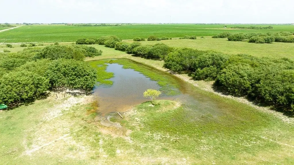 000 Gin Road, Bayside, TX 78340 - #1