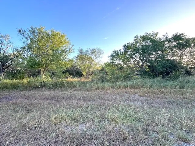 5929 Sweet Water Road, Robstown, TX 78380 - #1