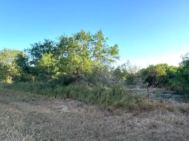 5929 Sweet Water Road, Robstown, TX 78380 - #2