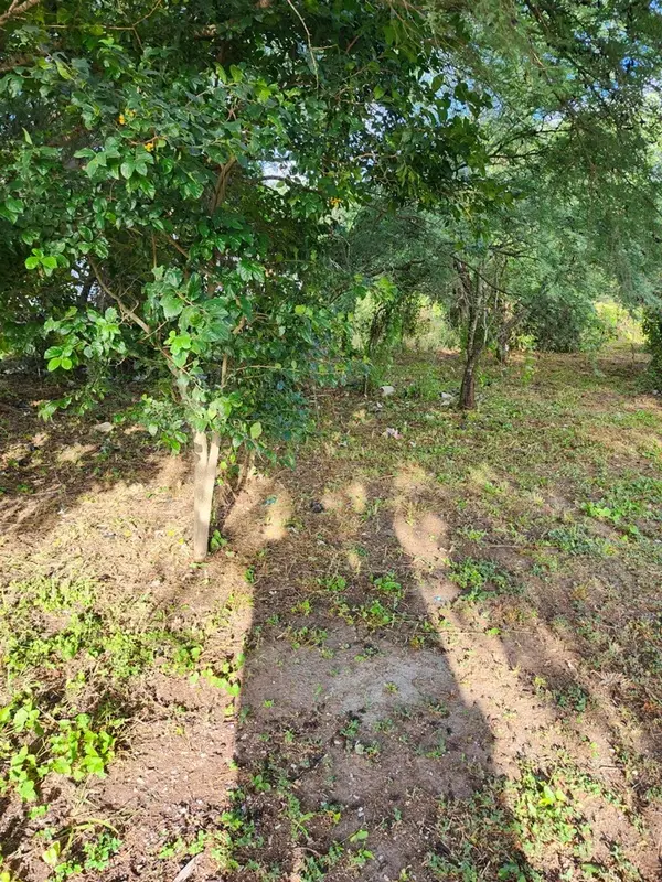 610 S Atascosa Street, Mathis, TX 78368