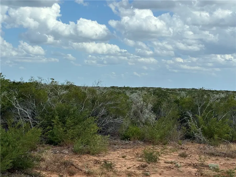 000 Cr 2150, San Diego, TX 78384 - #2