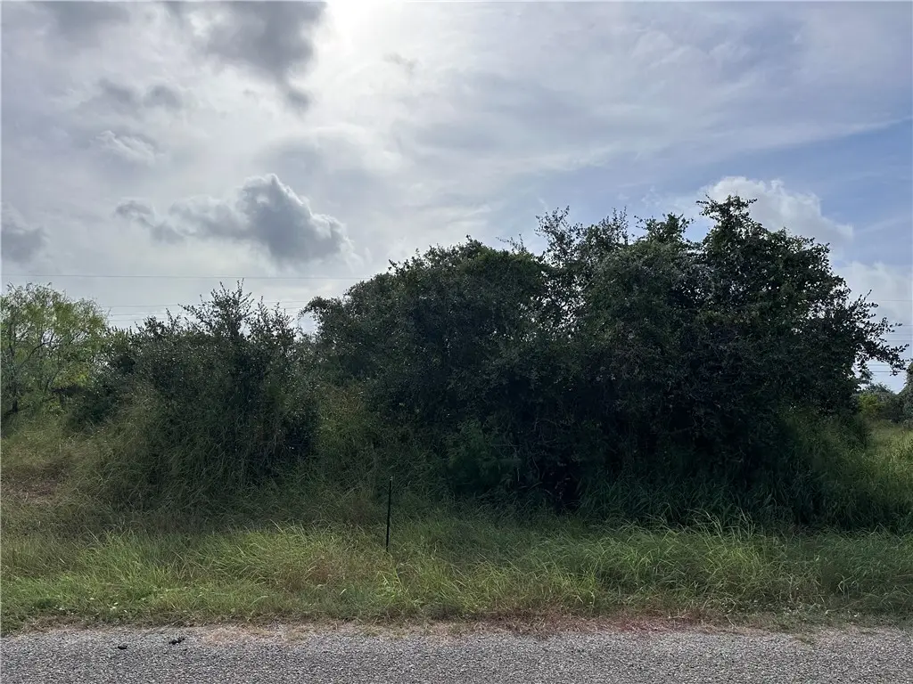 159 Dolphin Drive, Rockport, TX 78382 - #1